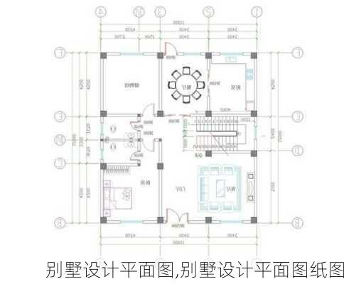 别墅设计平面图,别墅设计平面图纸图