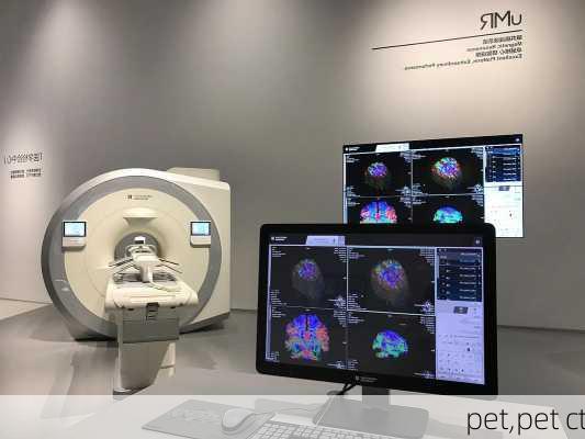 pet,pet ct