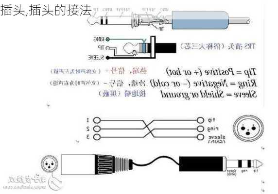 插头,插头的接法