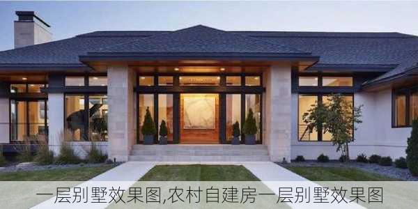 一层别墅效果图,农村自建房一层别墅效果图