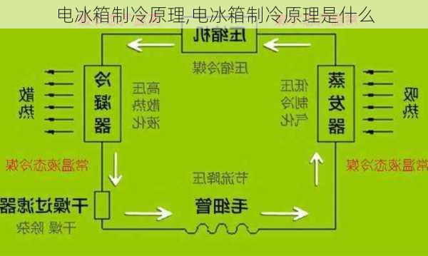 电冰箱制冷原理,电冰箱制冷原理是什么