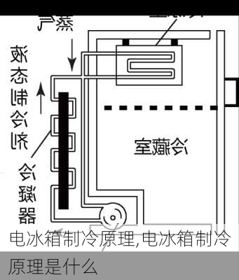 电冰箱制冷原理,电冰箱制冷原理是什么