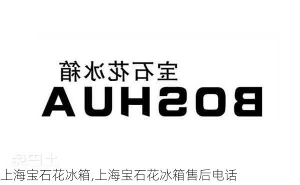 上海宝石花冰箱,上海宝石花冰箱售后电话
