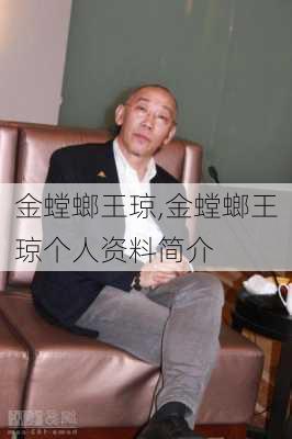 金螳螂王琼,金螳螂王琼个人资料简介