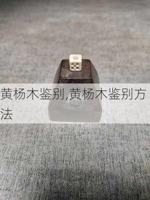 黄杨木鉴别,黄杨木鉴别方法