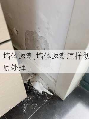 墙体返潮,墙体返潮怎样彻底处理