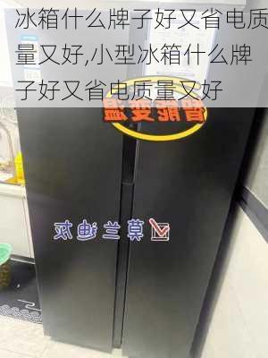 冰箱什么牌子好又省电质量又好,小型冰箱什么牌子好又省电质量又好