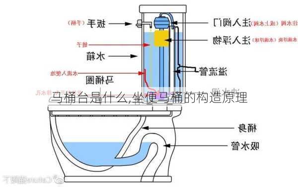 马桶台是什么,坐便马桶的构造原理