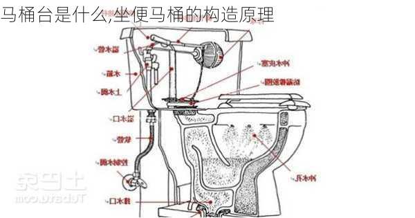 马桶台是什么,坐便马桶的构造原理