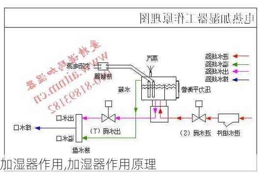 加湿器作用,加湿器作用原理