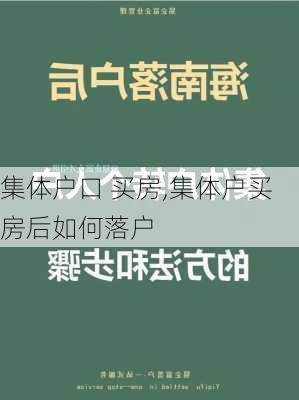 集体户口 买房,集体户买房后如何落户