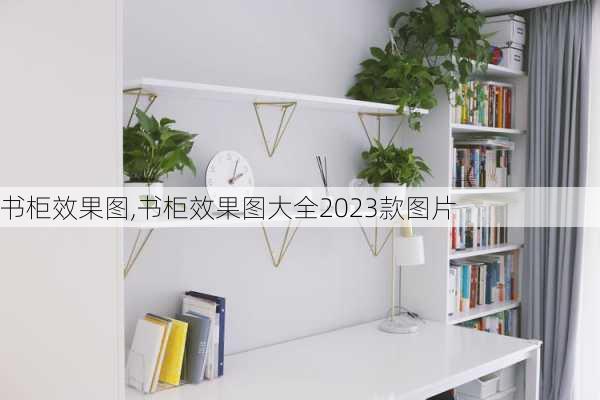 书柜效果图,书柜效果图大全2023款图片