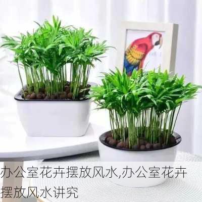 办公室花卉摆放风水,办公室花卉摆放风水讲究