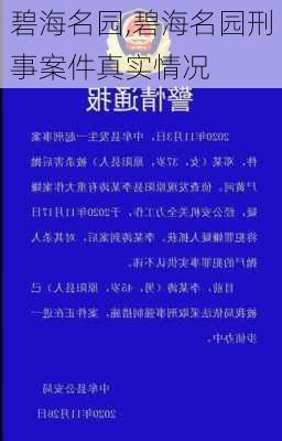 碧海名园,碧海名园刑事案件真实情况