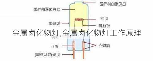 金属卤化物灯,金属卤化物灯工作原理