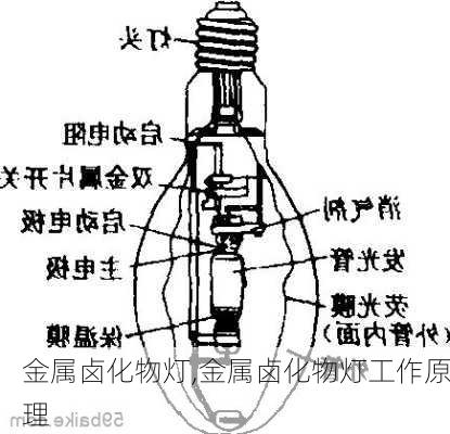 金属卤化物灯,金属卤化物灯工作原理