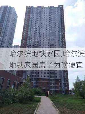 哈尔滨地铁家园,哈尔滨地铁家园房子为啥便宜