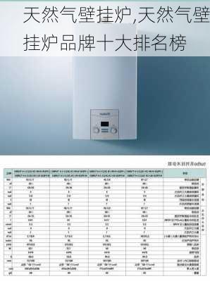 天然气壁挂炉,天然气壁挂炉品牌十大排名榜