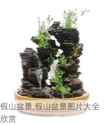 假山盆景,假山盆景图片大全欣赏