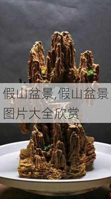 假山盆景,假山盆景图片大全欣赏