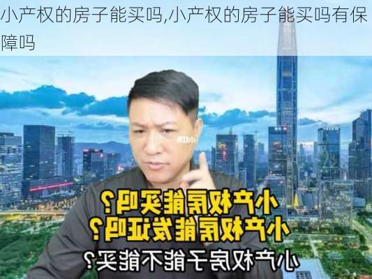 小产权的房子能买吗,小产权的房子能买吗有保障吗