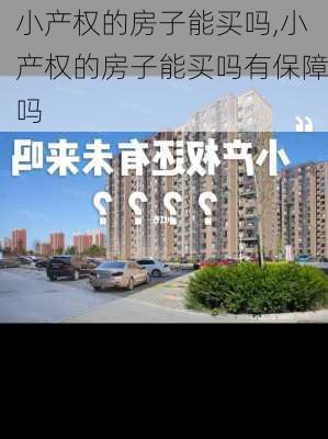 小产权的房子能买吗,小产权的房子能买吗有保障吗