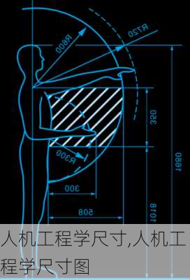 人机工程学尺寸,人机工程学尺寸图