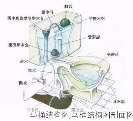 马桶结构图,马桶结构图剖面图