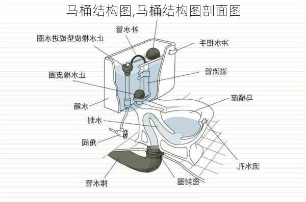 马桶结构图,马桶结构图剖面图