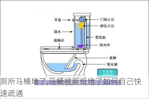 厕所马桶堵了,马桶被厕纸堵了如何自己快速疏通