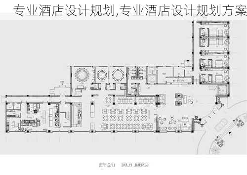 专业酒店设计规划,专业酒店设计规划方案