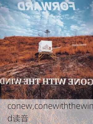 conew,conewiththewind读音