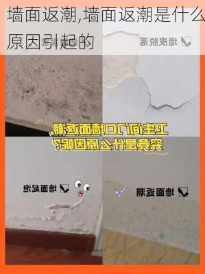 墙面返潮,墙面返潮是什么原因引起的