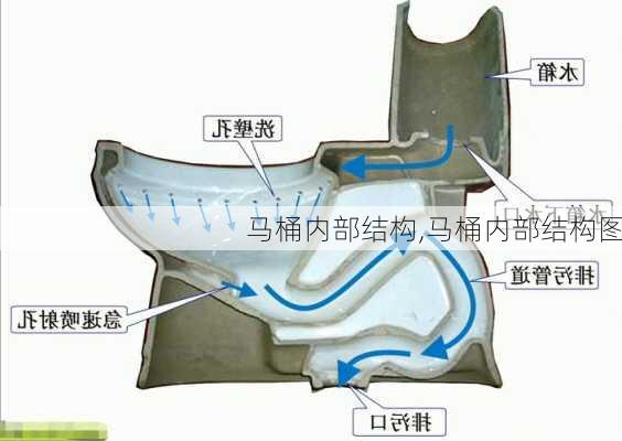 马桶内部结构,马桶内部结构图