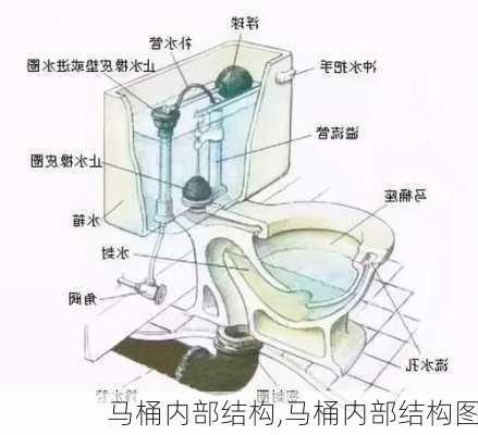 马桶内部结构,马桶内部结构图