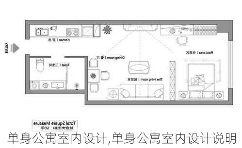 单身公寓室内设计,单身公寓室内设计说明