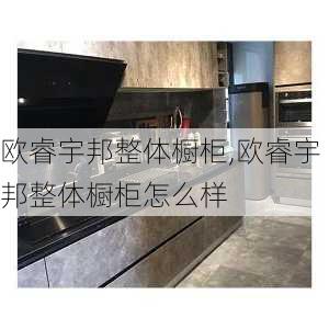 欧睿宇邦整体橱柜,欧睿宇邦整体橱柜怎么样