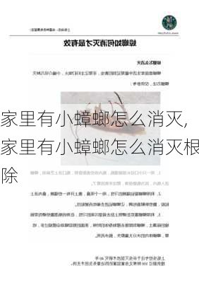 家里有小蟑螂怎么消灭,家里有小蟑螂怎么消灭根除