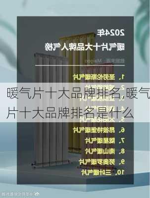 暖气片十大品牌排名,暖气片十大品牌排名是什么