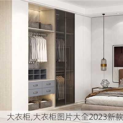 大衣柜,大衣柜图片大全2023新款