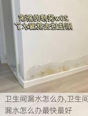 卫生间漏水怎么办,卫生间漏水怎么办最快最好