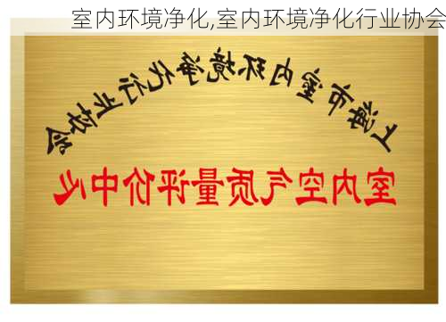 室内环境净化,室内环境净化行业协会