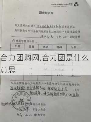 合力团购网,合力团是什么意思