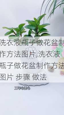 洗衣液瓶子做花盆制作方法图片,洗衣液瓶子做花盆制作方法图片 步骤 做法