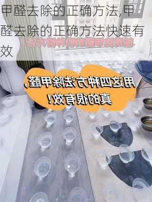 甲醛去除的正确方法,甲醛去除的正确方法快速有效