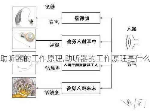 助听器的工作原理,助听器的工作原理是什么