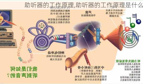 助听器的工作原理,助听器的工作原理是什么