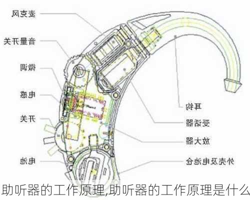 助听器的工作原理,助听器的工作原理是什么