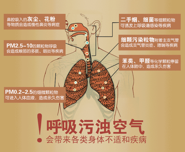 pm2.5危害,pm2.5的危害及防治措施