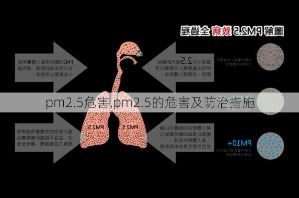 pm2.5危害,pm2.5的危害及防治措施